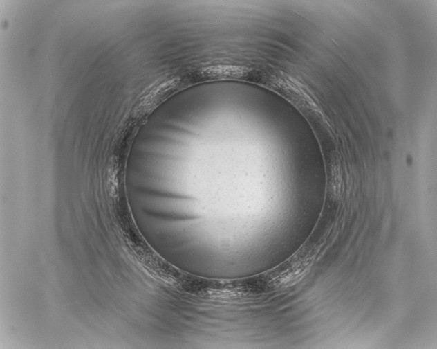 X0000059230259200511041249