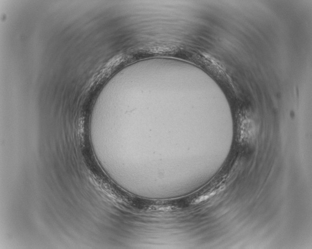 X0000059230260200511041249