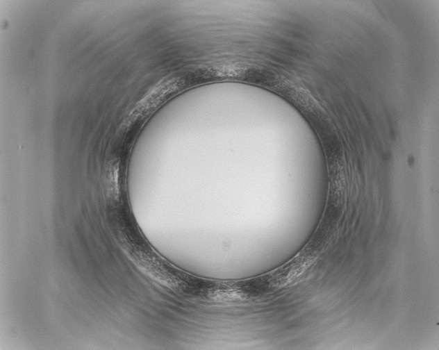 X0000059230262200511041249