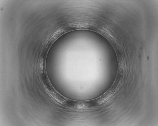 X0000059230264200511041249