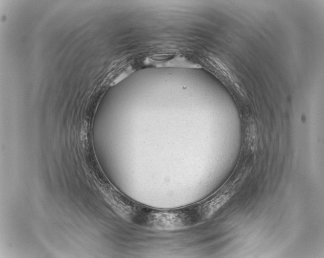 X0000059230265200511041249