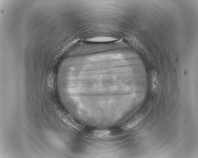 X0000059230266200511041249