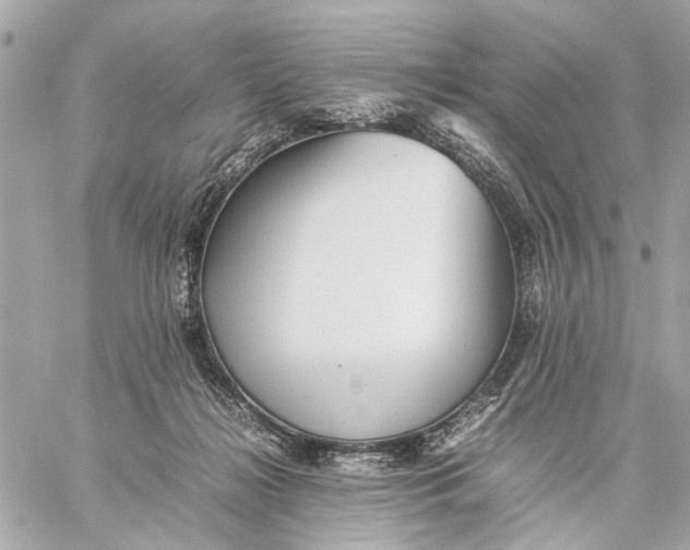 X0000059230268200511041249