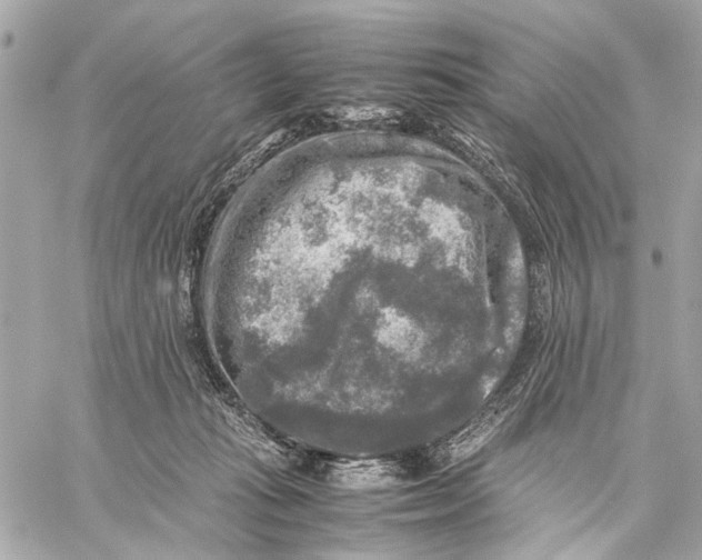 X0000059230269200511041249