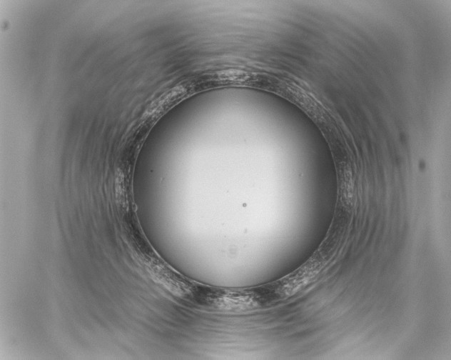 X0000059230270200511041249