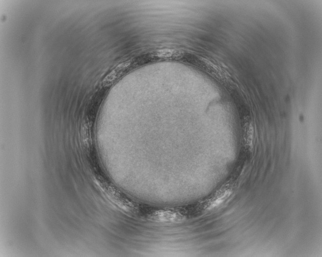 X0000059230272200511041249