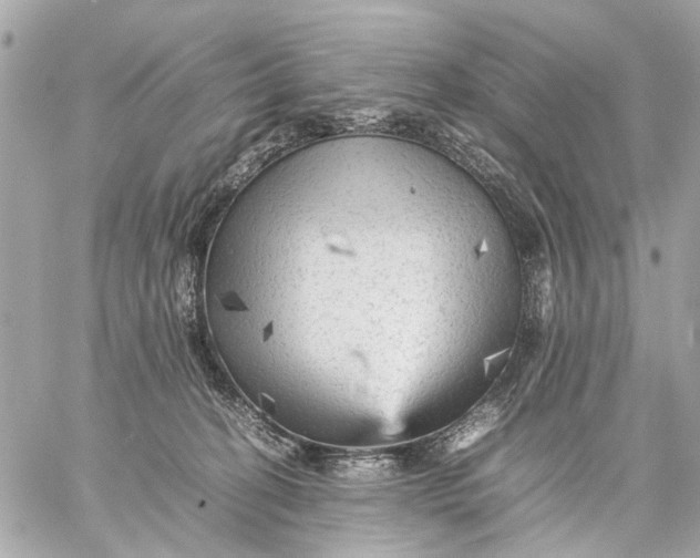 X0000059230274200511041249