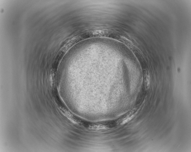 X0000059230276200511041249