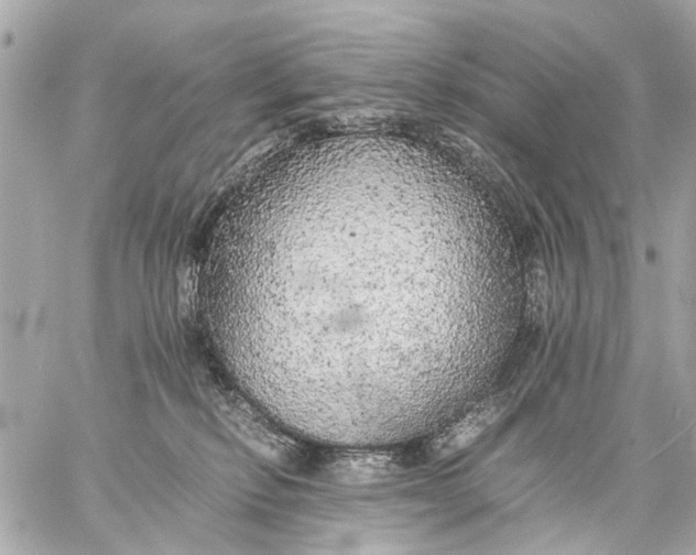 X0000059230278200511041249