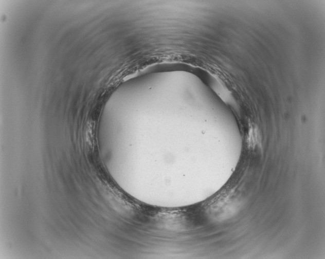 X0000059230280200511041249