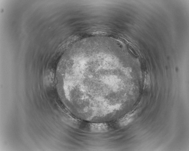 X0000059230281200511041249