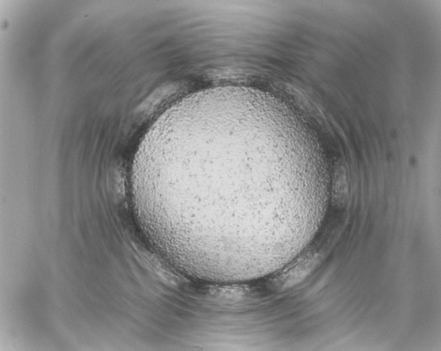 X0000059230282200511041249