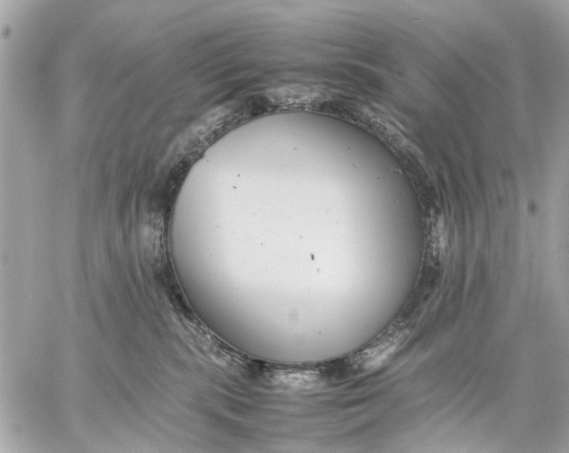 X0000059230283200511041249