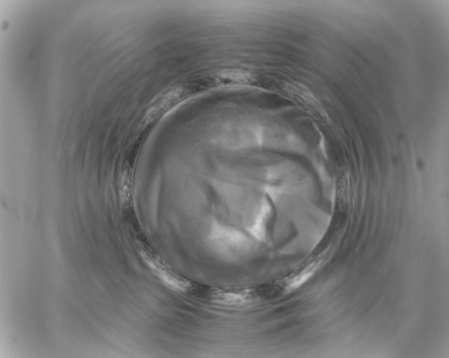 X0000059230285200511041250