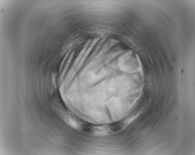 X0000059230286200511041250