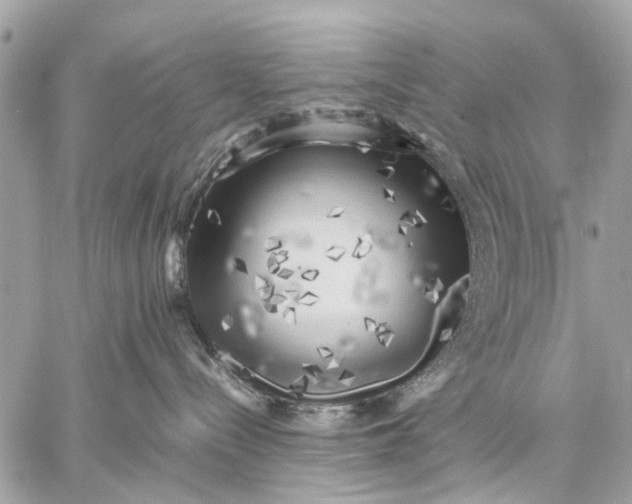 X0000059230288200511041250