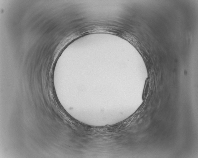 X0000059230289200511041249