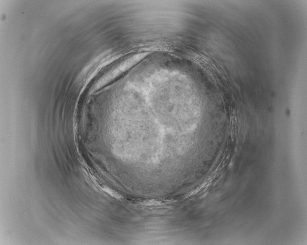 X0000059230290200511041249