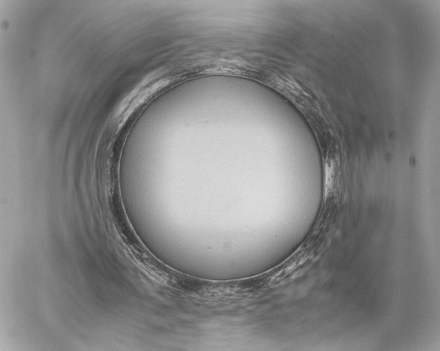 X0000059230291200511041249