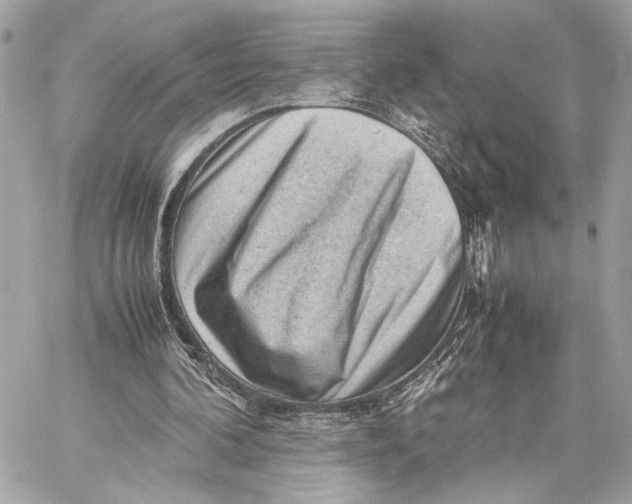 X0000059230292200511041249