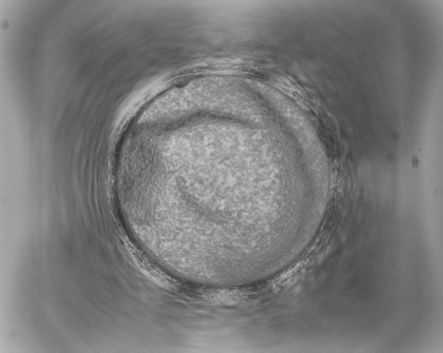 X0000059230293200511041249