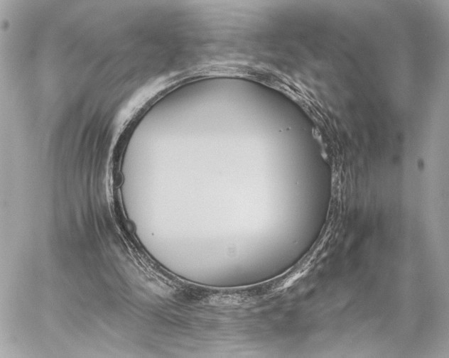 X0000059230294200511041249