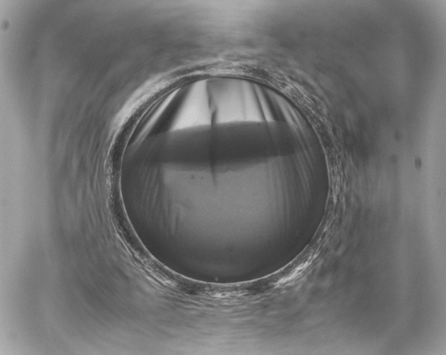 X0000059230295200511041249