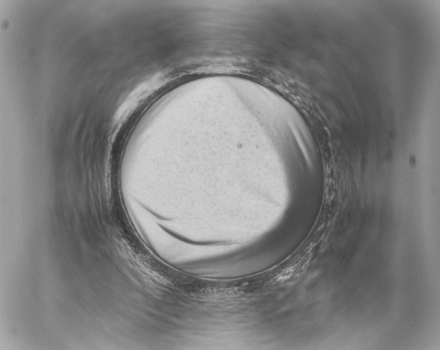 X0000059230296200511041249