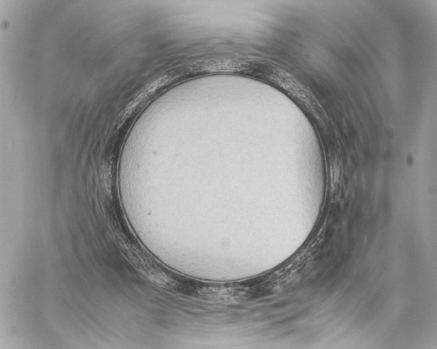 X0000059230297200511041249