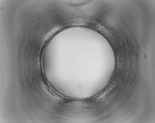 X0000059230298200511041249