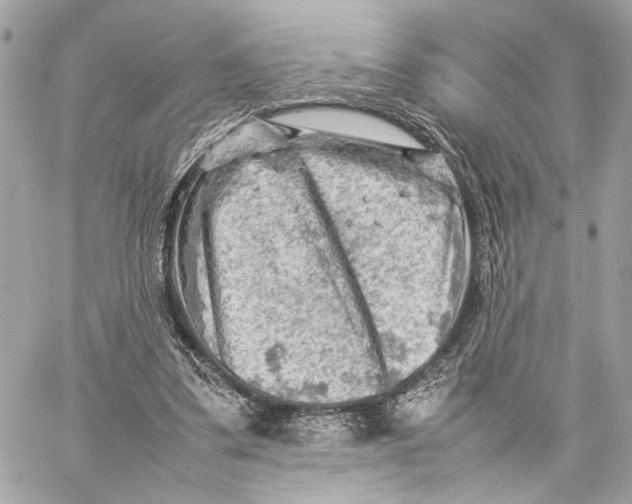 X0000059230299200511041249