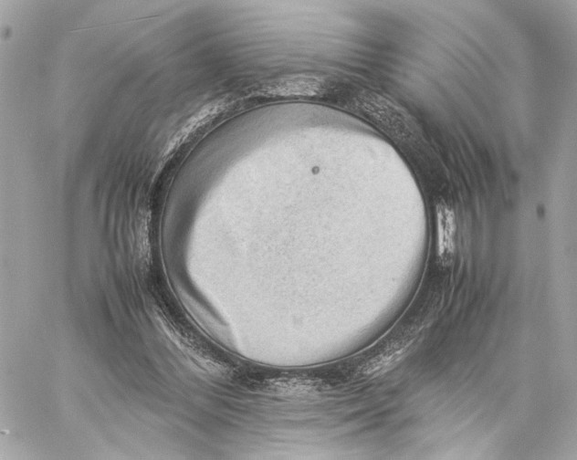 X0000059230300200511041249