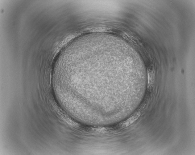 X0000059230301200511041249