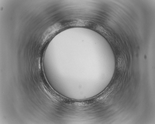 X0000059230302200511041249