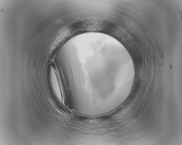 X0000059230303200511041249