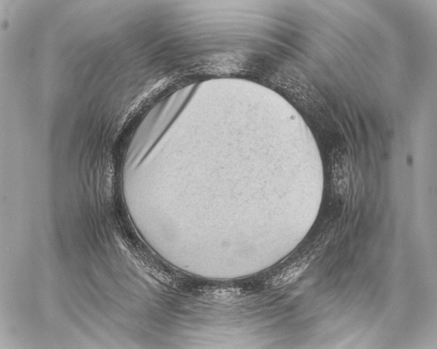 X0000059230304200511041249