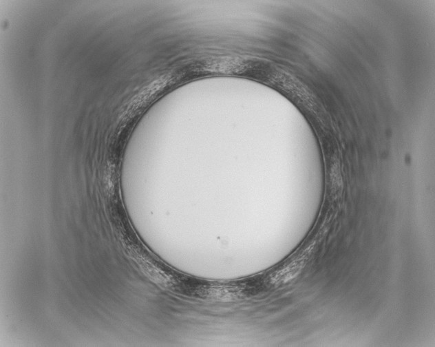 X0000059230305200511041248