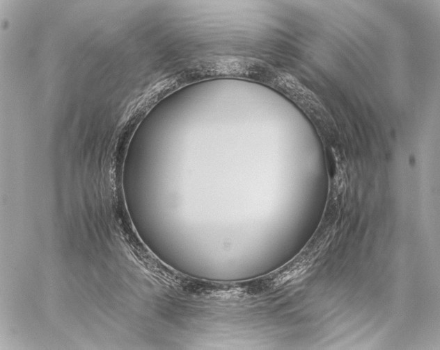 X0000059230306200511041248