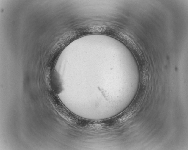 X0000059230307200511041248