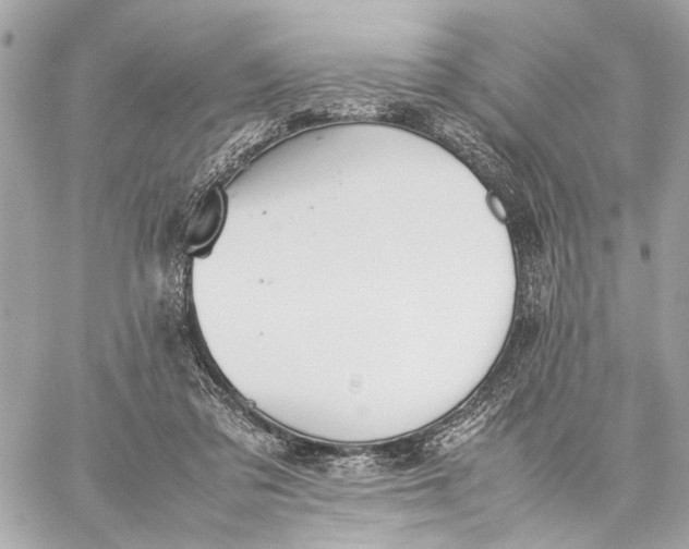 X0000059230309200511041248