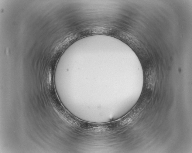 X0000059230310200511041248