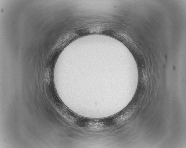 X0000059230311200511041248