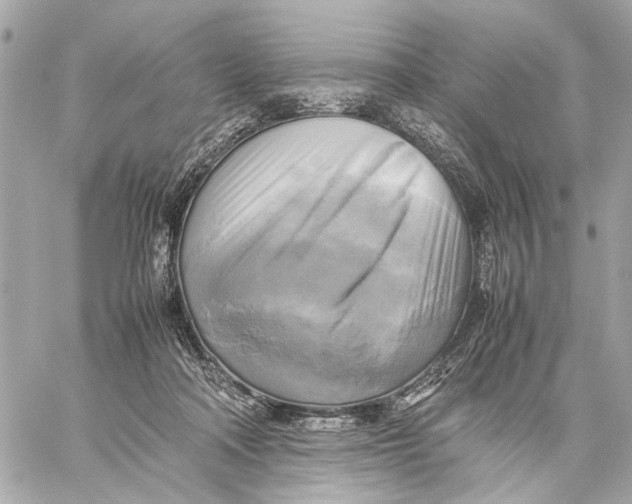 X0000059230314200511041248