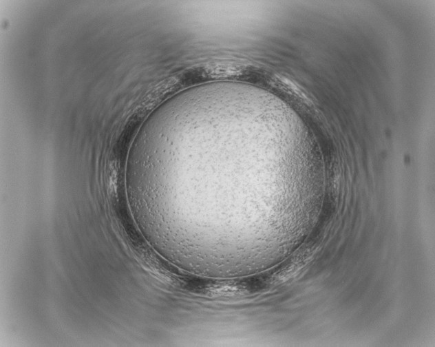 X0000059230315200511041248