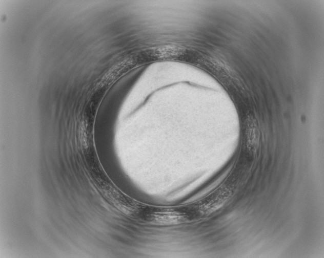 X0000059230316200511041248