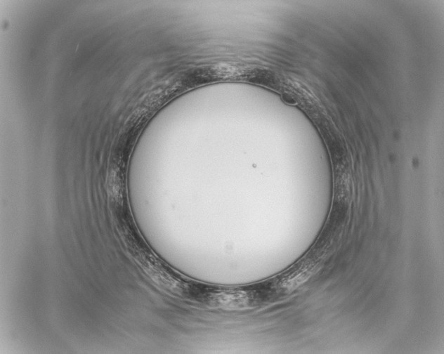 X0000059230317200511041248