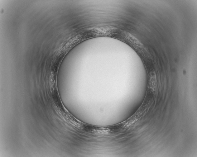 X0000059230318200511041248