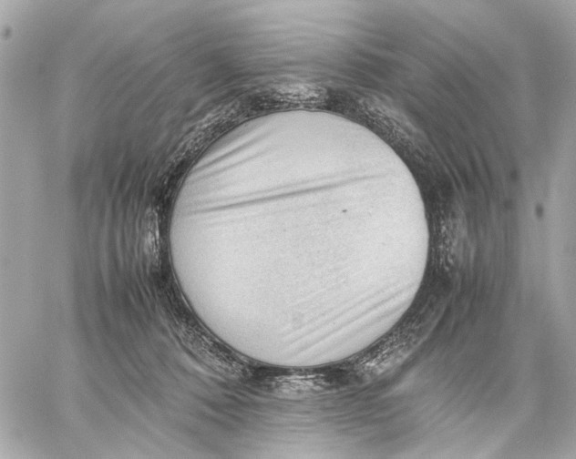 X0000059230320200511041248