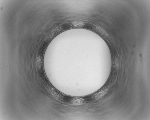 X0000059230321200511041248