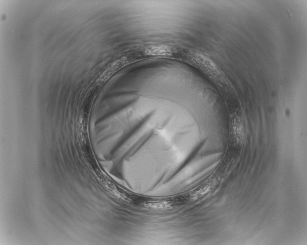 X0000059230322200511041248